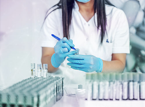 Validations - Sample Image